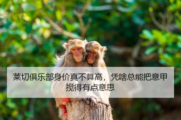 莱切俱乐部身价真不算高，凭啥总能把意甲搅得有点意思