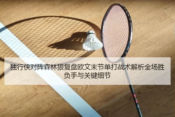 独行侠对阵森林狼复盘欧文末节单打战术解析全场胜负手与关键细节
