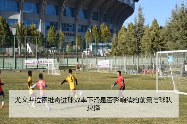 尤文弗拉霍维奇进球效率下滑是否影响续约前景与球队抉择