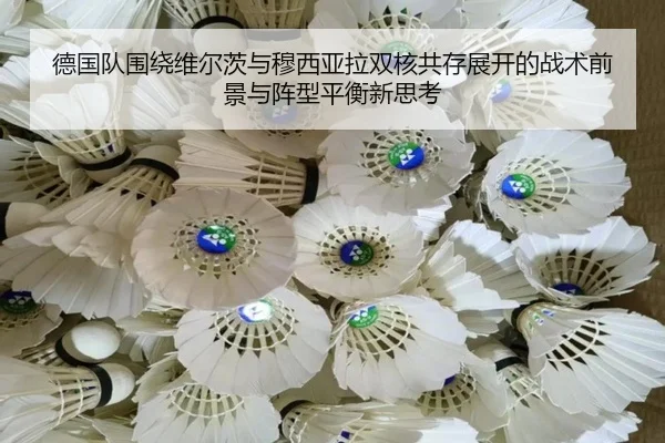 德国队围绕维尔茨与穆西亚拉双核共存展开的战术前景与阵型平衡新思考